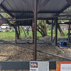 Horsepower for Kids  - Fenec fox enclosure
