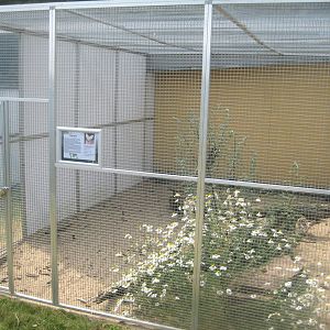 Dyrenes Verden - Fox exhibit