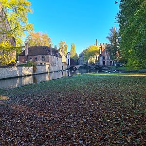 Bruges - Swan beach