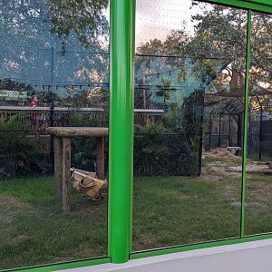 Black bear habitat #1 update