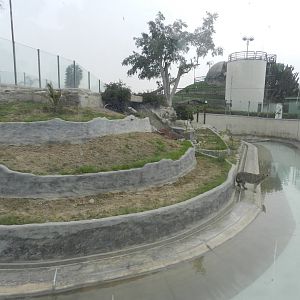 Puma exhibit I - Parque Zoológico Huachipa