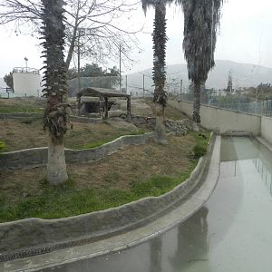Jaguar exhibit - Parque Zoológico Huachipa