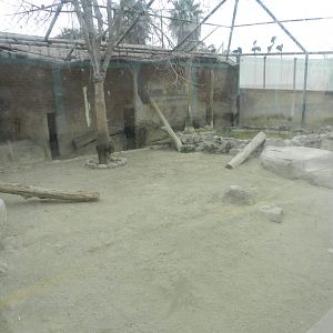 White tiger exhibit I - Parque Zoológico Huachipa