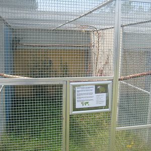 Dyrenes Verden - Blue-winged macaw aviary