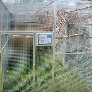 Dyrenes Verden - Red-winged parrot aviary
