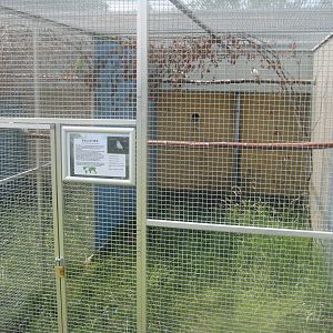 Dyrenes Verden - Myna aviary