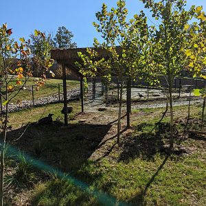 New shelter in Okapi exhibit