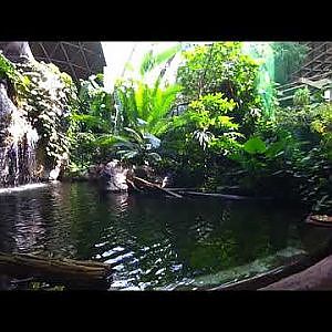 Toronto Zoo GoPro: Roaming Through Indo-Malaya - YouTube
