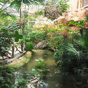 Pool in former aracari walk-through area, 2022-09-14