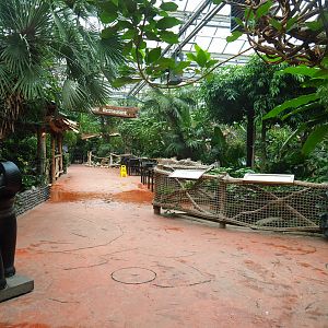 View in the Oasis, 2022-09-14