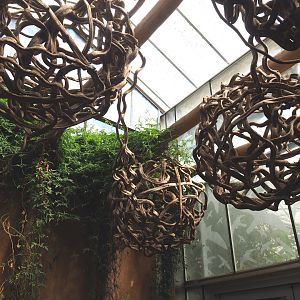 Branch/Vine ball decorations, 2022-09-15