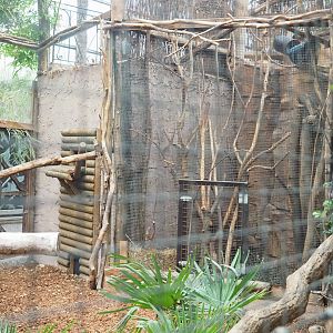 Sulawesi bear cuscus and Javan mouse deer separation areas, 2022-09-14