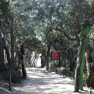 bridge to safari drive-through overlook