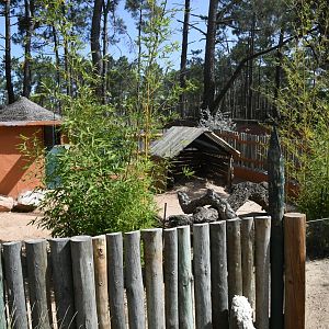 South African Porcupine pen