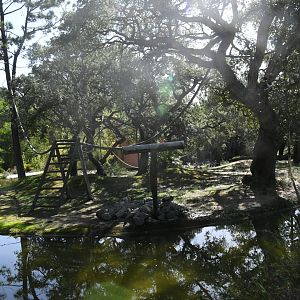 Lemur Island (Ring-tailed and Red-bellied Lemurs)