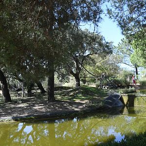 Lemur Island (Ring-tailed and Red-bellied Lemurs)
