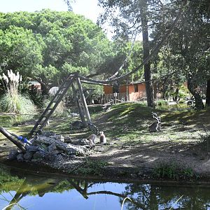 Lemur Island (Ring-tailed and Red-bellied Lemurs)