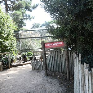 Amazon Jungle Aviary (Blue-and-yellow and Green-winged Macaws, Greater Curassows, Guineapigs)
