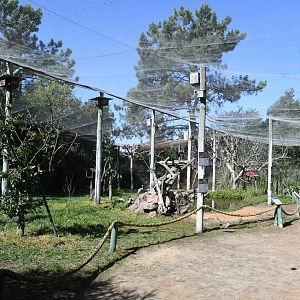 "Exotic Bird Garden" aviary