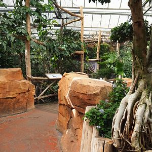 View in Oasis with exterior of Sclater's crowned pigeon aviary and Black-tailed prairie dog exhibit, 2022-09-14