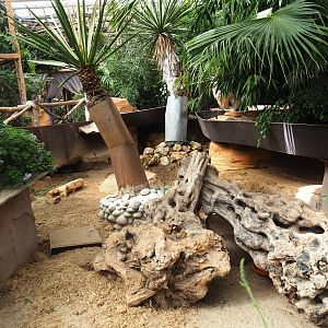 Black-tailed prairie dog exhibit, 2022-09-15