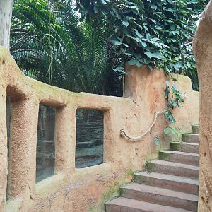 Luzon rufous hornbill aviary viewing area (Former turtle underwater viewing area), 2022-09-14