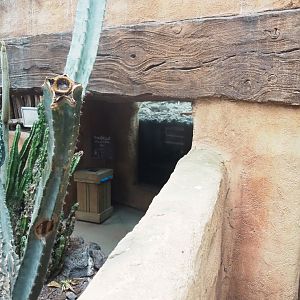 Subterranean meerkat viewing area (Former Asian small-clawed otter underwater viewing area), 2022-09-14