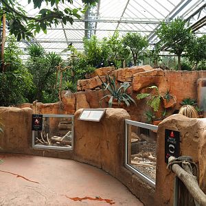 Meerkat exhibit, 2022-09-15