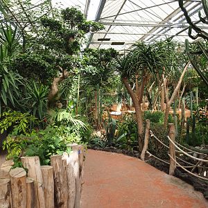 View in Oasis, 2022-09-14