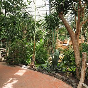 View in Oasis, 2022-09-14