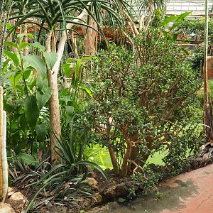 Oasis garden in Oasis greenhouse, 2022-09-14