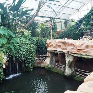 View of lower visitor area in Oasis, with Large hairy armadillo exhibit above it, 2022-09-14