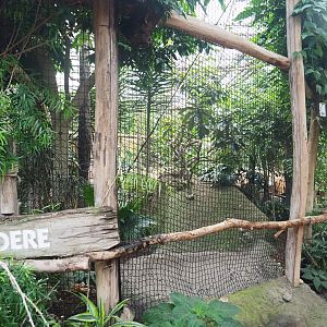 Empty aviary, Formerly home to Bulwer's pheasant and Andean cock-of-the-rock, 2022-09-14