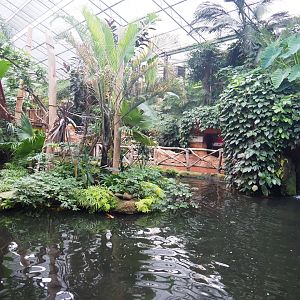 White-faced saki island and lower visitor area, 2022-09-14