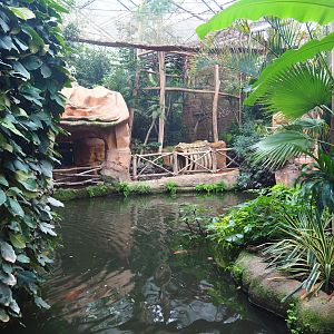 Part of White-faced saki island, lower visitor area and empty aviary, 2022-09-14