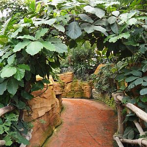 Walkway with vine arch from lower area to upper area, 2022-09-15