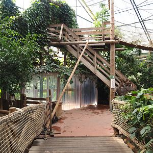 Access to Oasis, Walkway, Access to adventure bridge and Parts of armadillo and tortoise exhibits, 2022-09-15