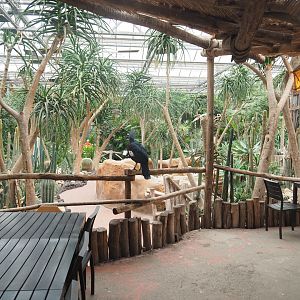 View of Oasis from eating area, 2022-09-14