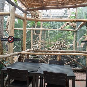 Eating area with view of Palm cockatoo aviary, 2022-09-14