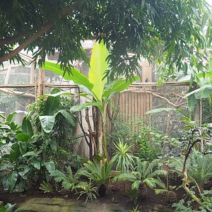 Side of Amazon parrot and hornbill aviaries and part of land area around Lesser flamingo pool, 2022-09-14