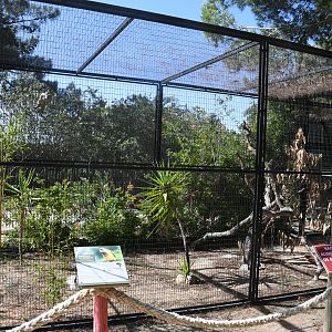 African Grey Parrots and Senegal Parrots cage