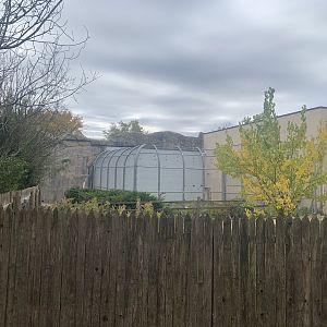 Behind-the-scenes bear yard (currently accessed by Hope)