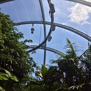 Roof of Tropical Dome
