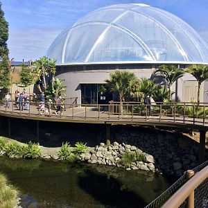 Tropical Dome - First Day Open