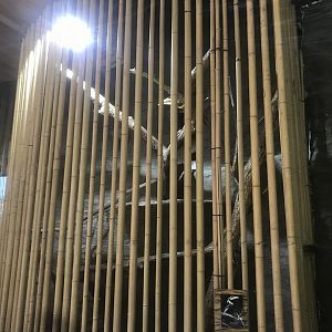 Borneo - Great Indian Hornbill/Victoria Crowned Pigeon Exhibit