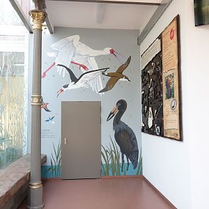 Paintings in the birdhouse