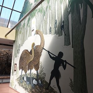 Paintings in the birdhouse