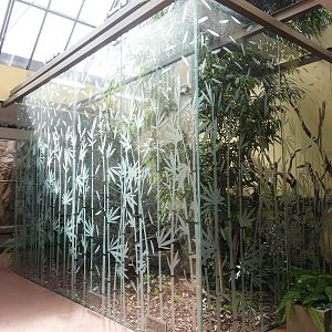 Exhibit for Twelve-wired bird-of-paradise and White-naped pheasant-pigeon