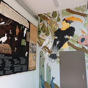 Paintings in the birdhouse