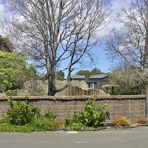 1922 Bear Pit (Off Display)